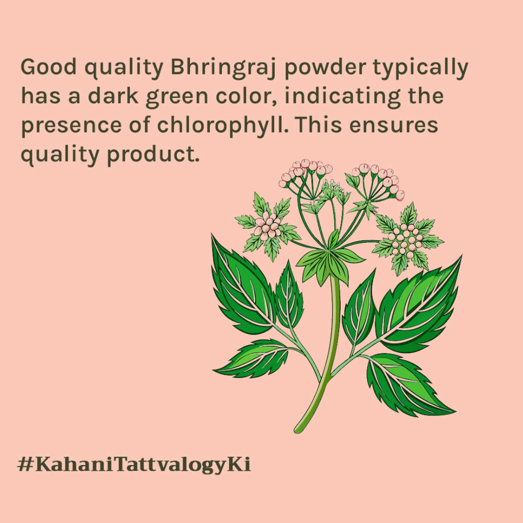 Tattvalogy Bhringraj Powder - Chemical-Free, Reduces Hair Fall & Strengthens Roots for Healthy Hair