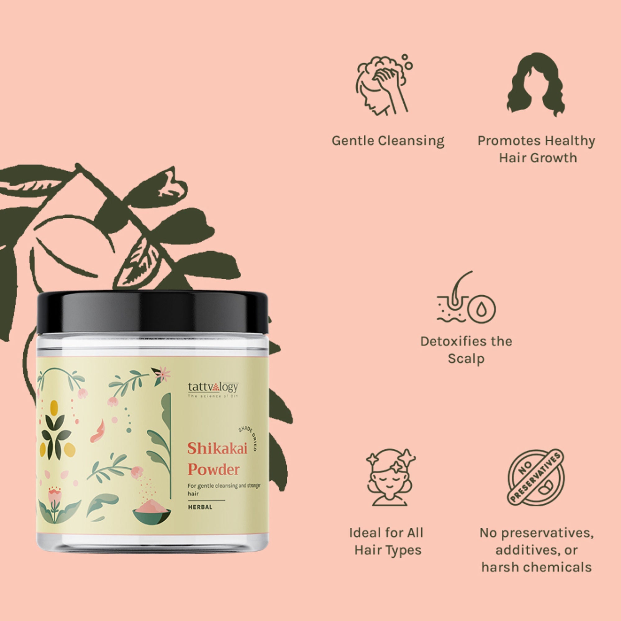 Tattvalogy Natural Shikakai Powder - Herbal Hair Mask which Conditions & Adds Shine for Silky Hair