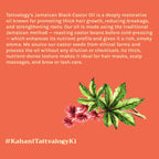 Tattvalogy Jamaican Black Castor Oil-Traditional Recipe, Boosts Hair Volume, Perfect for Curly Hair - Distacart