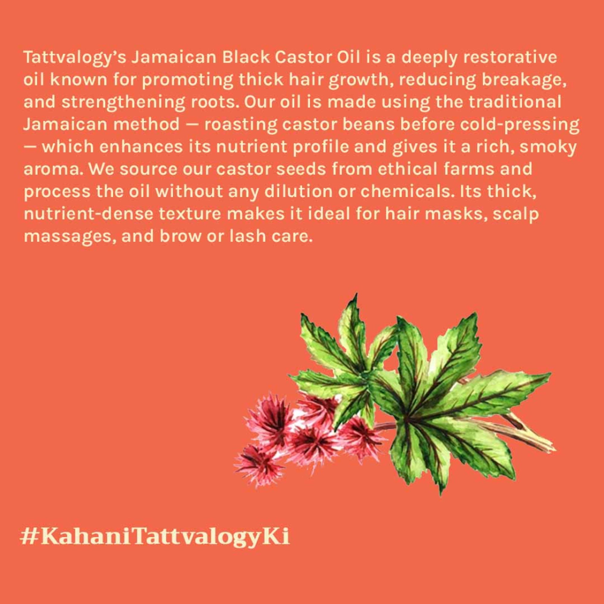 Tattvalogy Jamaican Black Castor Oil-Traditional Recipe, Boosts Hair Volume, Perfect for Curly Hair - Distacart