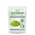 Yuvagrow Wheat Grass Powder - Distacart