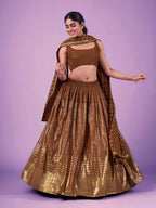 Myra Brown Georgette Embroidered Designer Lehenga