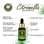 Old Tree Citronella Essential Oil