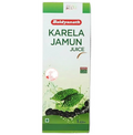 Baidyanath Jhansi Karela Jamun Juice - Distacart