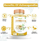 Divya Shree Ashwagandha Capsules - Distacart