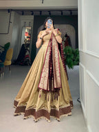 Vastranavya Traditional Jacquard Vichitra Silk Lehenga Choli - Chiku