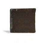 The Wellness Shop Anti Dandruff Shampoo Bar And Conditioner Bar