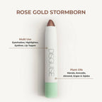 Disguise Velvet Glow Multistick - Rose Gold Stormborn 64