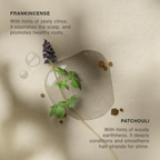 Vinci Botanicals Frankincense Patchouli Hair Cleanser
