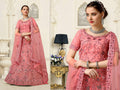 Light Pink Net Fancy Zari Embroidered work Lehenga Choli with Dupatta - Heer