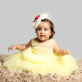 Pink Cow Fashions Yellow Gown With Organza Chest & Net Layer Ghera