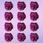 sugar roses for cake cupcake decoration fuchsia pink 120 gms