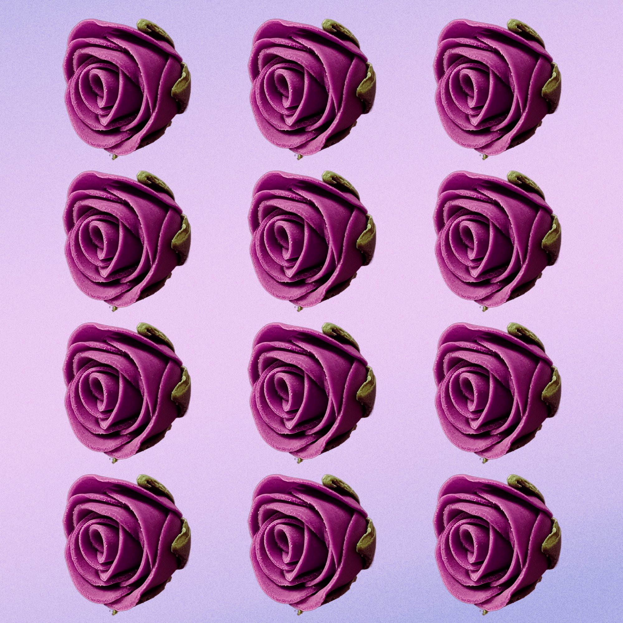 sugar roses for cake cupcake decoration fuchsia pink 120 gms