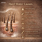 Detoxie Hard Water Defense Bundle