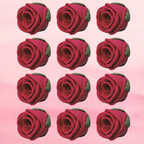 sugar roses for cake cupcake decoration burgundy 120 gms