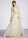 House of Panchhi Turquoise Blue Georgette Sequins And Thread Embroidery Lehenga Choli & Dupatta