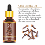 Nuerma Science Clove Essential Oil For Skin, Hair & Teeth