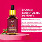 Nuerma Science Rosehip Essential Oil For Anti-Aging
