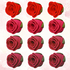 confect sugar roses topper sugar roses for cake decorations cupcakes doughnut edible toppers ombre 2 pack of 12