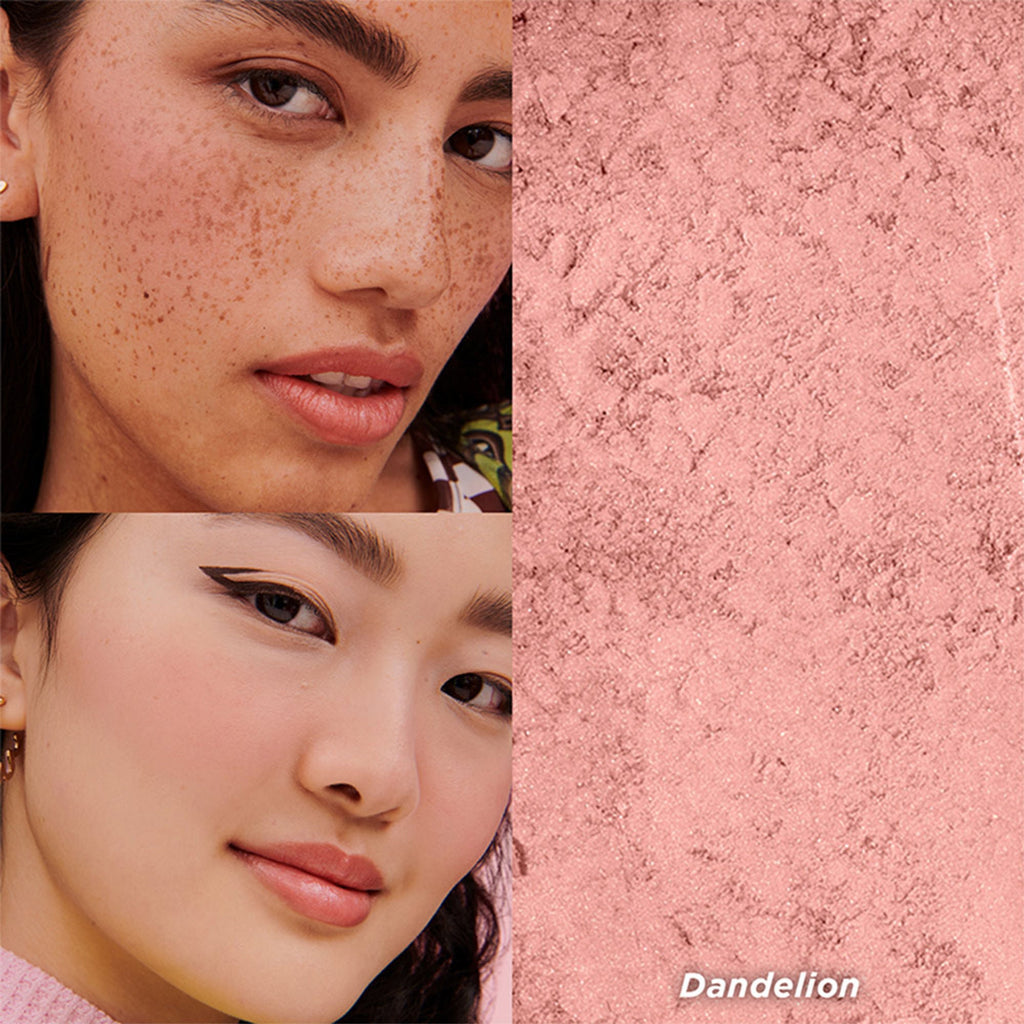 Benefit Cosmetics Dandelion Baby-Pink Brightening Blush - Distacart