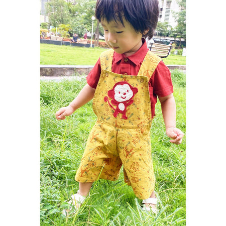Mhyssa Yellow Dungaree With Round Neck Half Sleeves Maroon Shirt Set