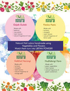 02 SN-G-TH-H-50-2