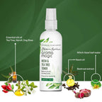 Blossom Kochhar Aroma Magic Neem & Tea Tree Toner