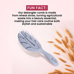 Alps Goodness Wheatstraw Detangler Brush