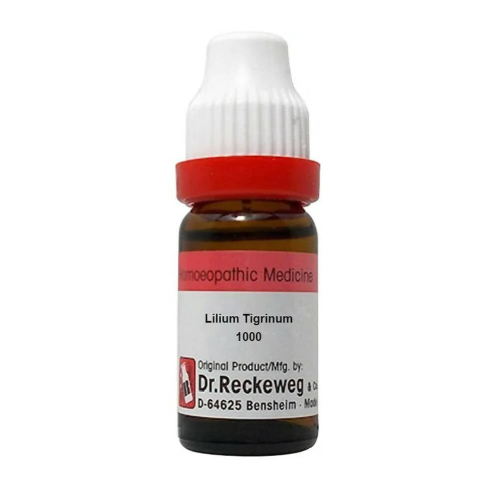 Dr. Reckeweg Lilium Tigrinum Dilution - Distacart
