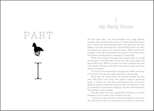 Black Beauty