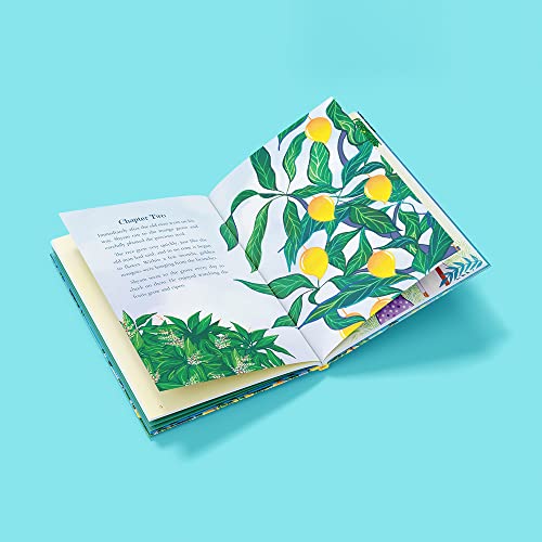 How the Mango got its Magic: Puffin Chapter Book, Gorgeous new full colour, illustrated chapter book for young readers from ages 5 and up