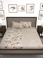 Story@home Beige & Red Floral Flat 240 TC 1 Double Bedsheet with 2 Pillow Covers