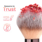 Swiss Beauty Bake Me Up Blush & Highlighter , 2-In-1 Baked Formula, Long-Lasting - Coral Glaze - Distacart