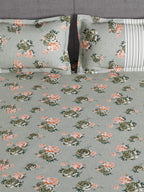 Story@home Arena Grey & Pink Floral Printed 180 TC Bedsheet & Pillow Covers - Distacart