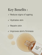Beauty of Joseon Revive Serum - Ginseng + Snail Mucin For Hydrating, Nourishing, and Youthful Serum - Korean Skincare
