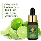 Old Tree 100% Pure Lime Essential Oil