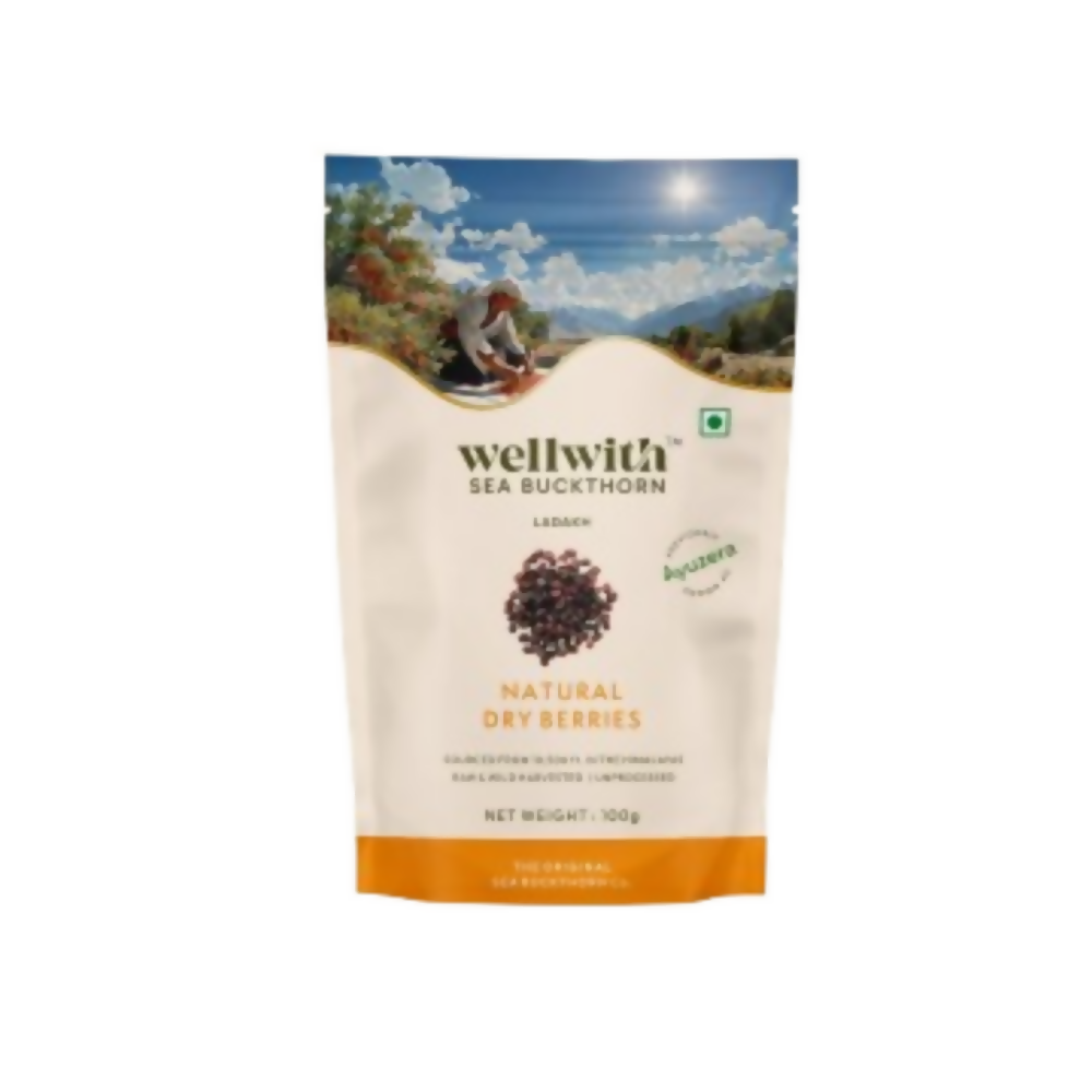 Wellwith Sea Buckthorn Dry Berry