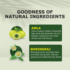 Nuerma Science Amla Bhringraj Hair Oil | Scalp Nourishment & Natural Conditioning