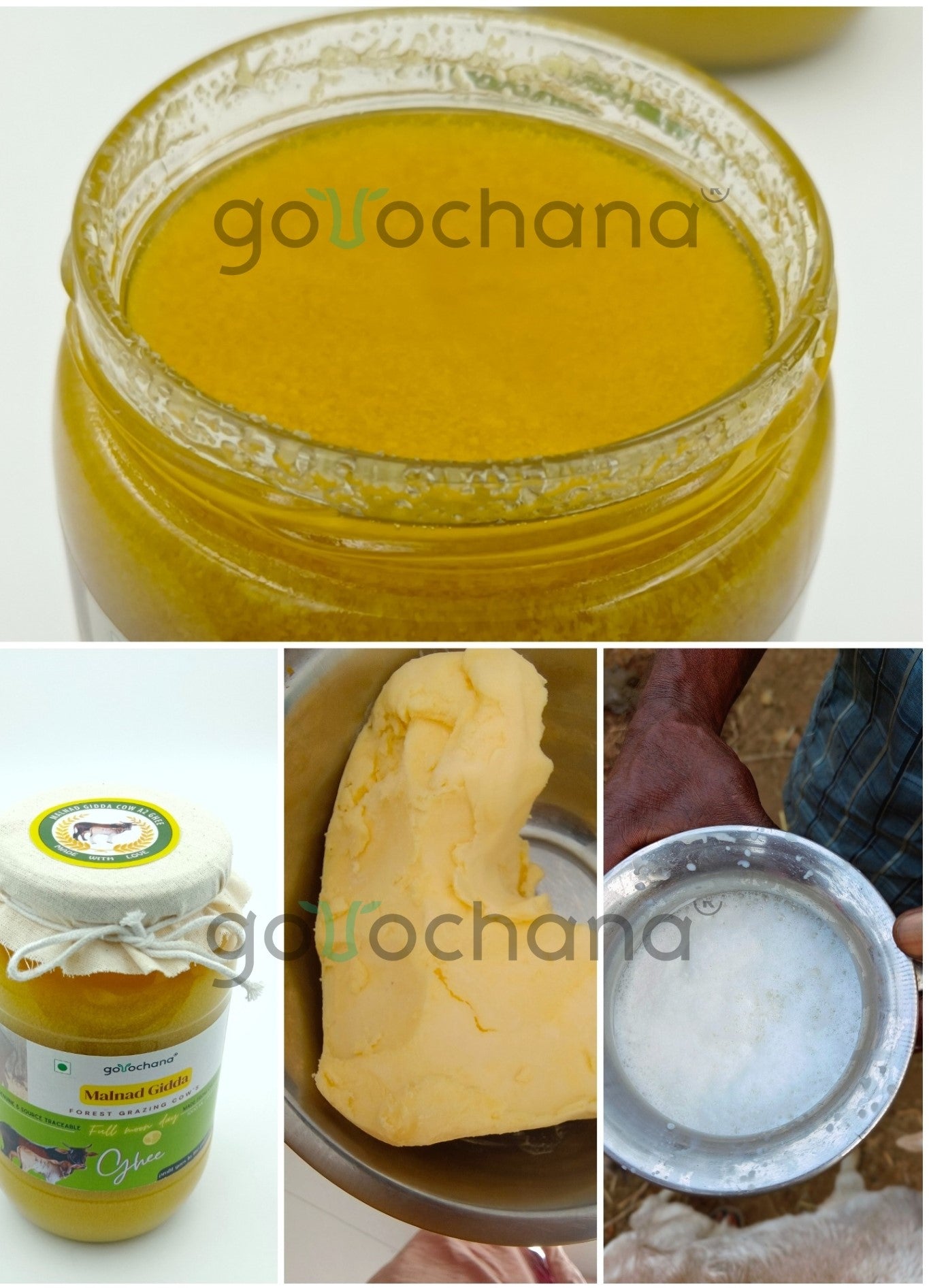 Gorochana 100% Source Traceable Desi Malnad Gidda A2 Full Moon Day Bilona Cow Ghee - Distacart