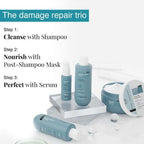 Bare Anatomy Expert Damage Repair Kit - Distacart