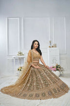 Kesar Fab Brown Net Embroidered Lehenga