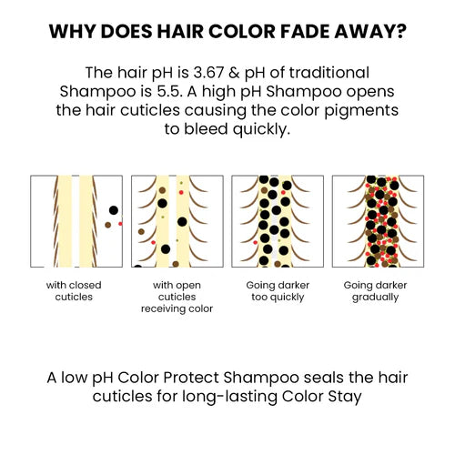 ThriveCo Color Protection Shampoo For Dye & Color Treated Hair