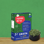 Crista Spices Kasoori Methi