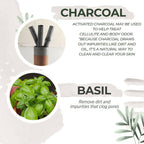 Astaberry Charcoal Face Wash- Detox & Glow