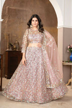 Eilara Light Peach Colour Designer Sequence Work On Net Lehenga Choli