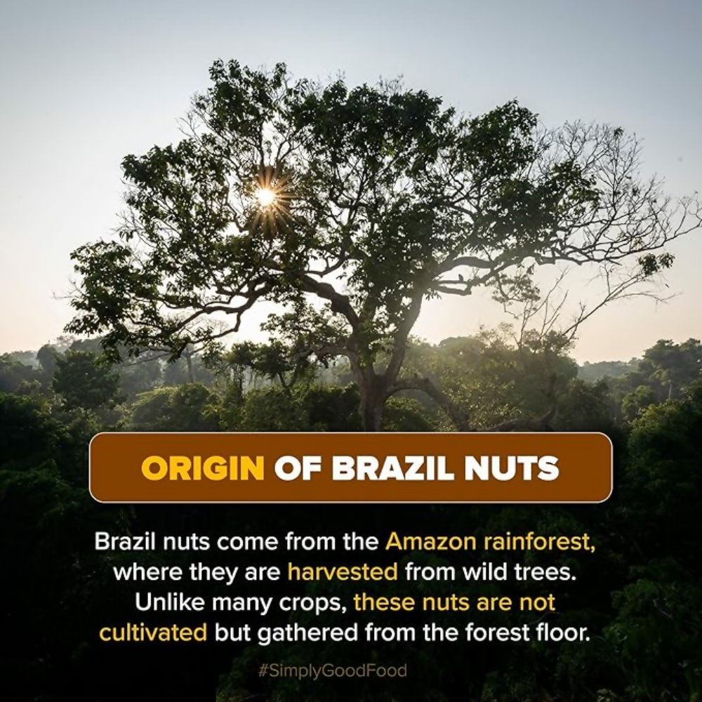 Urban Platter Brazil Nuts - Distacart