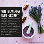 Organicos Lavender Face Cleanser - Distacart