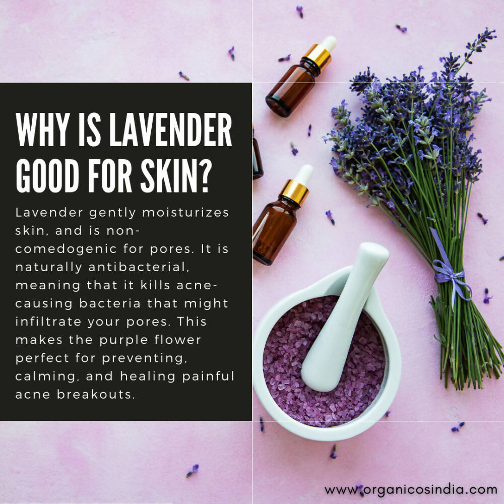 Organicos Lavender Face Cleanser - Distacart