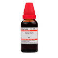 Dr. Willmar Schwabe India Carum Carvi Mother Tincture Q