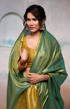Anaita Green Handloom Tissue Silk Self Woven Plain Saree - Distacart